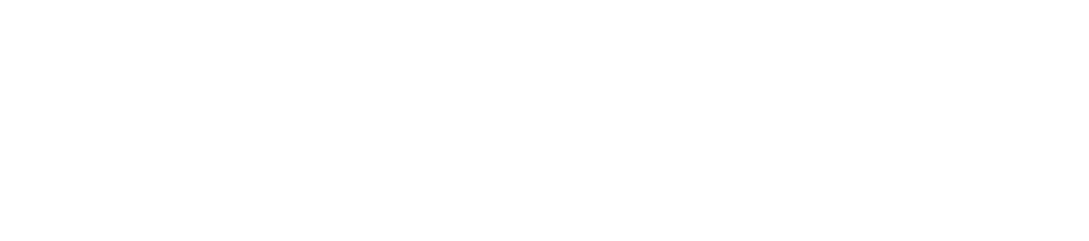 Logo DFSmart Piero